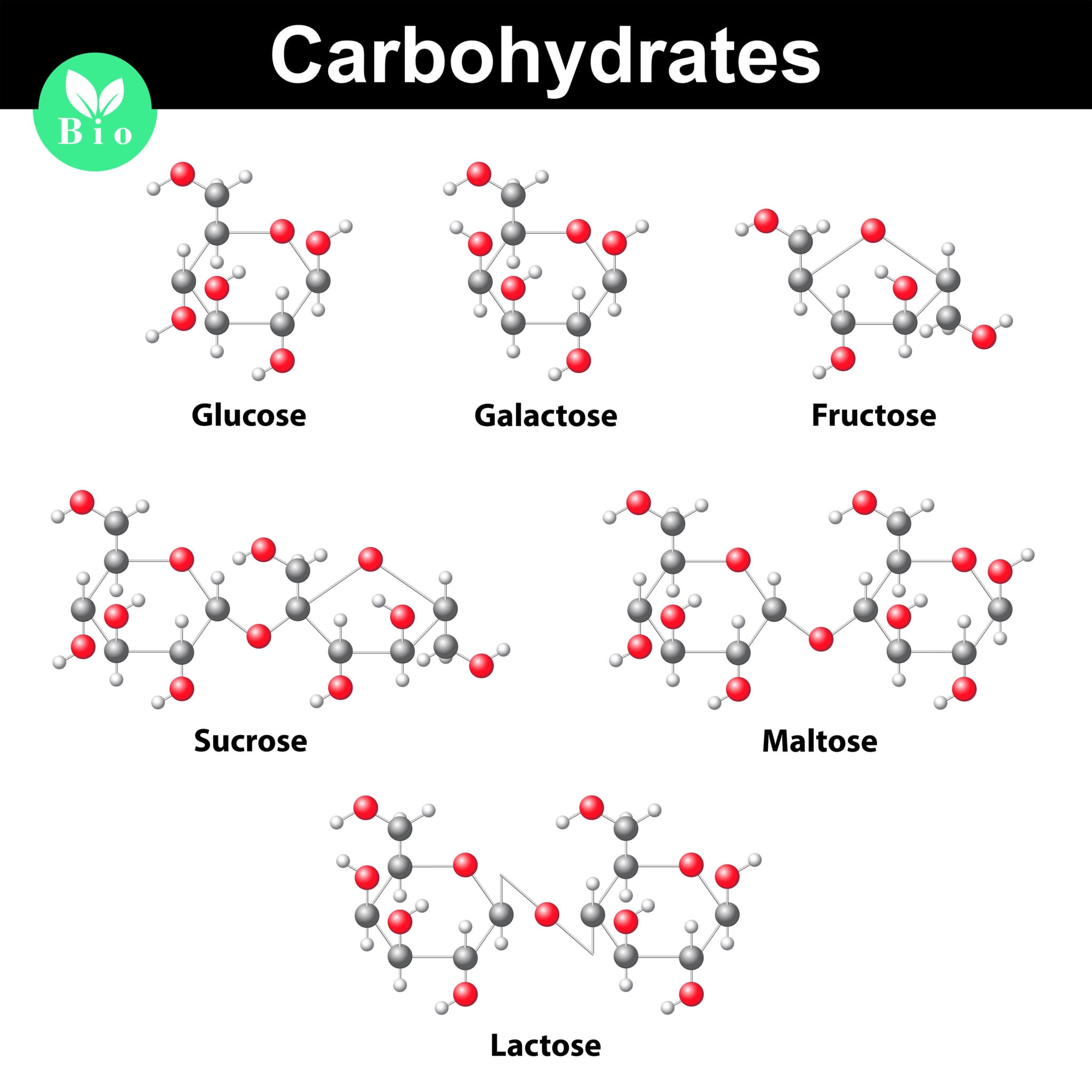 good-carbs-to-eat-for-combat-athletes