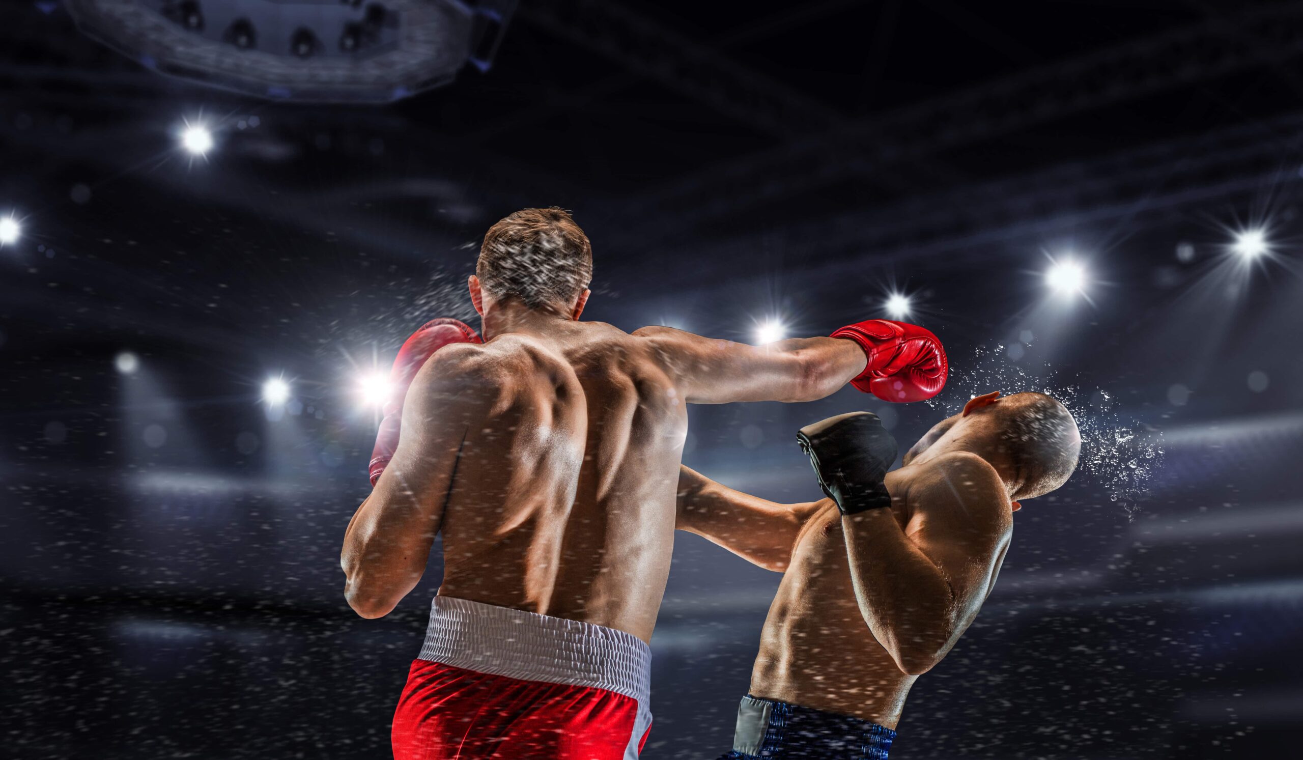 Concussion Knockout | Fighting Arts Health Lab