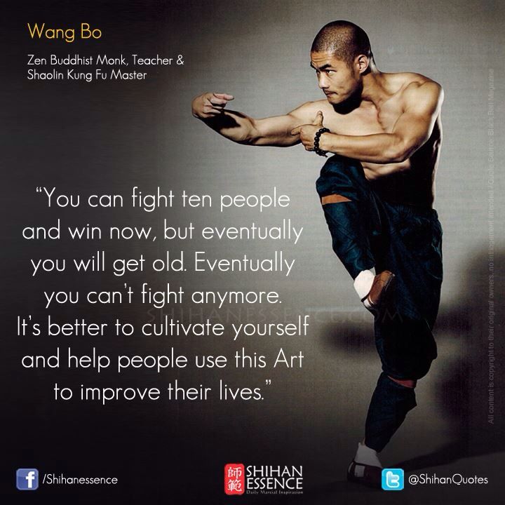 Kung Fu Traditional Chinese Martial Arts Movements